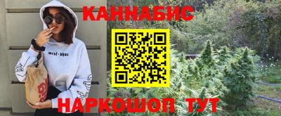сатива Ставрополь