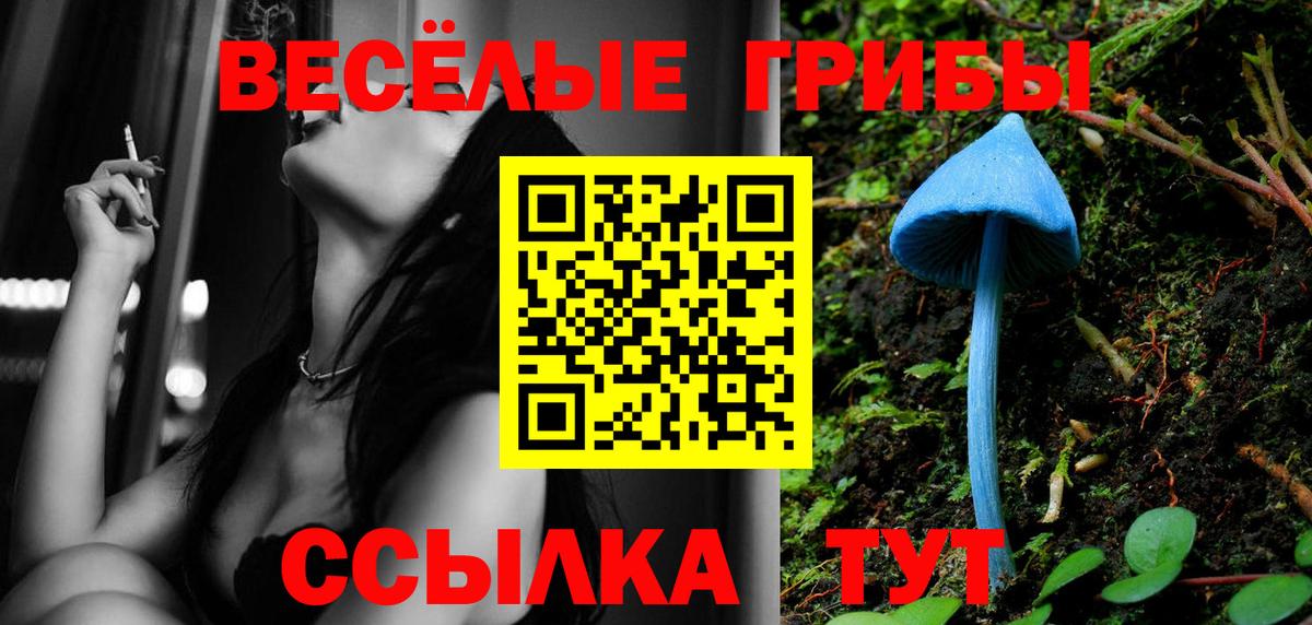 Псилоцибиновые грибы Psilocybine cubensis Осинники